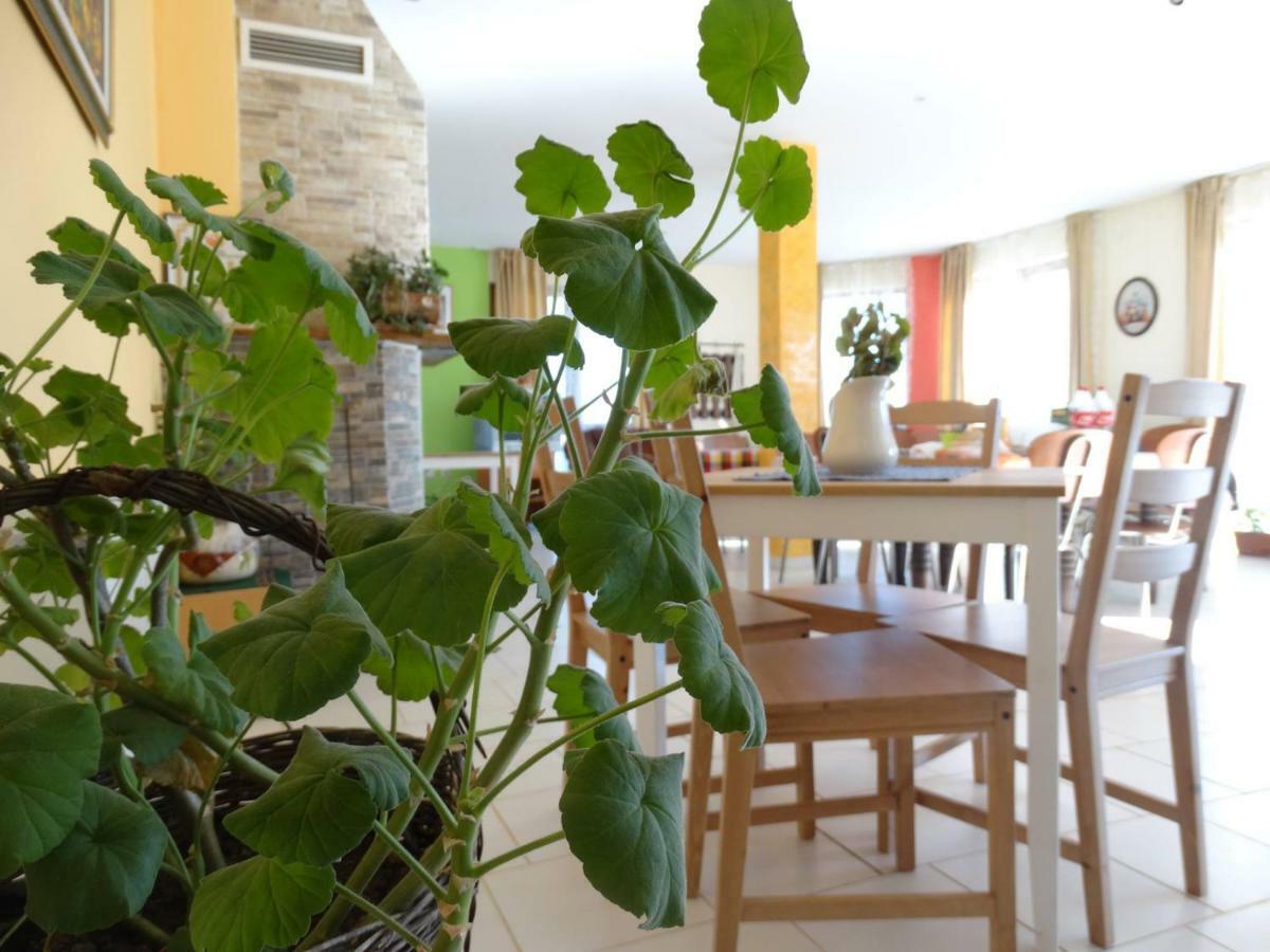 Guest House Misha Petrevene Kültér fotó
